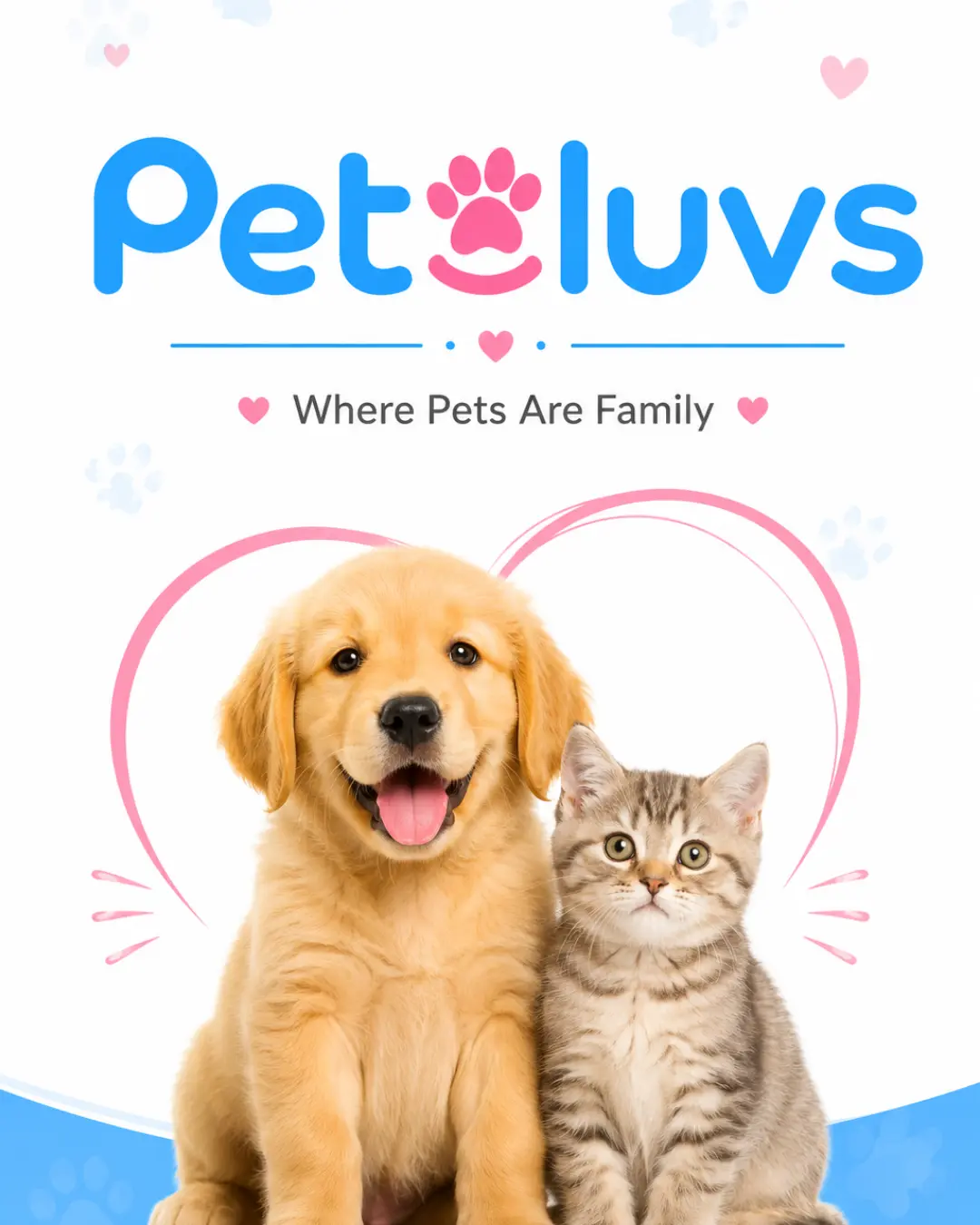 Witqualis - Dedicated Development Team for Petluvs.